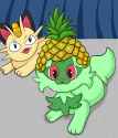 Sprigatito