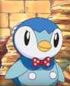 PIPLUP