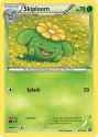 en_US-XY11-004-skiploom