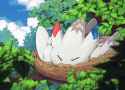 togekiss_by_yonyonyon-dahthob