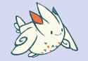 togekiss flap