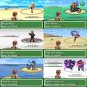 trainers