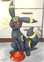 1548185891.otakuap_umbreon