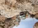 Geodude (2)
