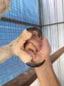 holdhands