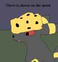 Moon cheese