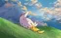 pokemon togekiss pikachu