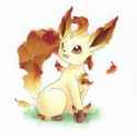 images(6)