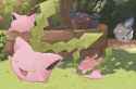 hoppip_@wick_moshi