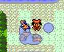 pokewilds