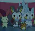 XY062 Rodents