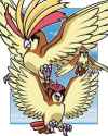 OG birb