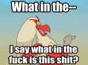 foghorn-leghorn-wtf-blaziken