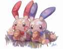 plusle minun by pokehakoosi