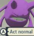 49696337