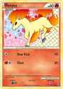 pony