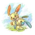 __minun_and_plusle_pokemon_drawn_by_toneko__sample-4b89b2c4c20a26f5857ff10301e0e816