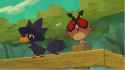 __murkrow_and_hoothoot_pokemon_drawn_by_frozenspots__c76cc659daeecf35db8047428c3e71dc