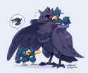 __murkrow_corviknight_and_honchkrow_pokemon_and_2_more_drawn_by_d4ggerfish__640d5b2cb2c1a3b5c1449c2f4c6336fe