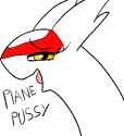 plane_pussy
