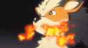 pokemon-arcanine
