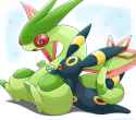 197 330 Umbreon and Flygon @yuyuyuyunoya