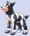 Houndour