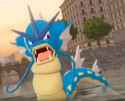 gyarados disgust