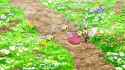 800px-Aether_Paradise_Cutiefly_Ribombee