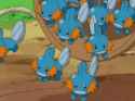 mudkip