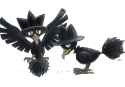 __murkrow_pokemon_drawn_by_ikei__9f3f8c6f9440100d6c996f399e9db33a