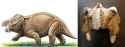 dicynodonts