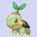 1693980275301166 - turtwig