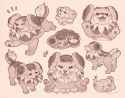 tumblr_c5c0c45c049da97cb7e4086901a7a358_c3e35178_2048