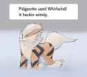 q5adwbxrupwb1