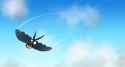 booker and taillow soaring