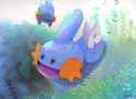 __mudkip_pokemon_drawn_by_hijirino_yuuta__4385238210c66c43209efea957059e2e