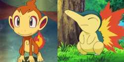 Chimchar-and-Cyndaquil-FI