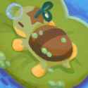 sleepy turtwig