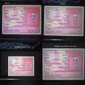 Dawn DS Pixeling