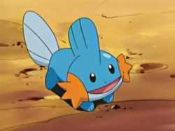Brock_Mudkip