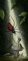 the_spider_and_the_fairy_by_brandonolterman_d2ng8tb-fullview