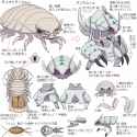 illust_62107687_20250629_064328