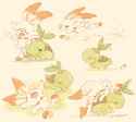 the tortoise and the hare