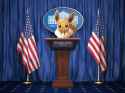 President Eevee