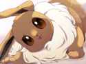 kompeito_fox-1941410265167429729-img1