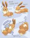 eevee sleepy levels