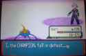 surskit the champion of hoenn