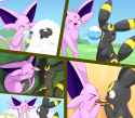 Picnic with Umbreon and Espeon