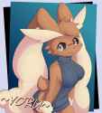 Lopunny-Clothes-865810530